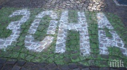 ноември зелени зони софия