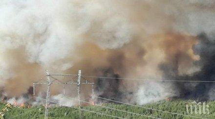 потушаване локализиран пожарът кресненското дефиле