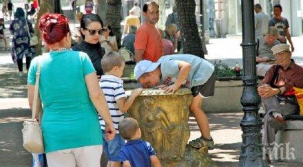 живакът полудя градуса пловдив бори жегите снимки