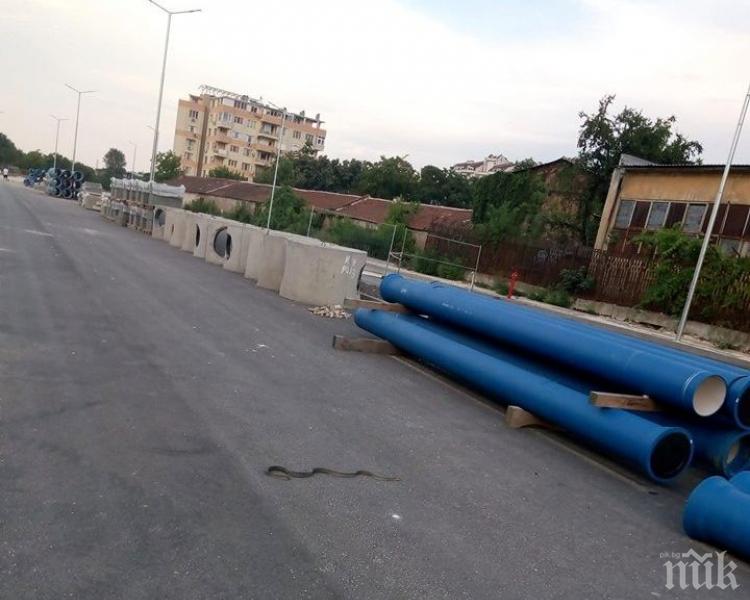 Голяма змия паникьоса пловдивчани в Кършияка