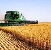 Задържаха държавен служител: Подкуп в замяна на безпроблемна проверка край София