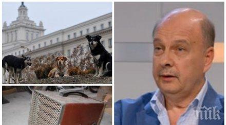 експресно георги марков европредседателството борисов заби брадвата дебело дърво