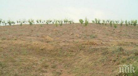 реколтата благоевградското село бучино унищожена градушката