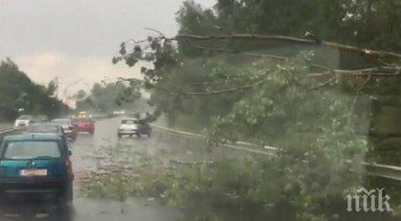 шофьорът затиснатото рено адът изсипа нас