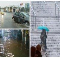 НАСРЕД АПОКАЛИПСИСА В СОФИЯ: Столичани изгубиха регистрационните табели на колите си! Ето какво да направят потърпевшите