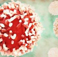 Пробив! Учени откриха как да предотвратяват поява на рак на гърдата при рискови групи