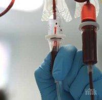 Горски в кома след ужилване от стършел, змии ухапаха четирима