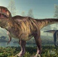 Археолози се натъкнаха на следи от динозаври на 120 милиона години в Китай
