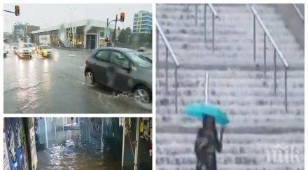 насред апокалипсиса софия столичани изгубиха регистрационните табели колите направят потърпевшите