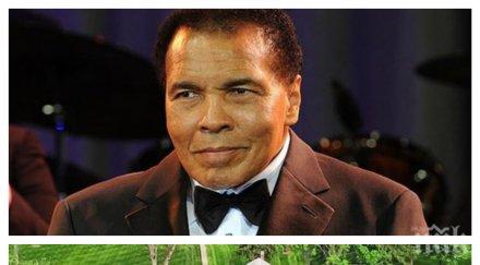 продават имение мохамед али