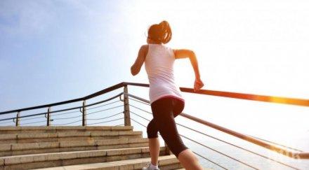 невероятно качването стълби държи мозъка млад