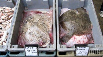 раздават калкан пенсионерите бургас