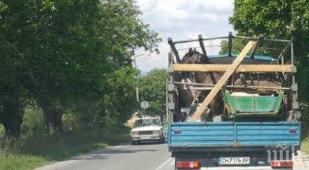 уникум кон каруца метна камион запрепуска карлово снимки