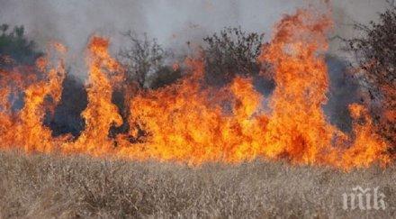 опустошение 750 декара посеви изгоряха пловдивско