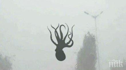 шаш морски дарове заваляха небето китай снимки