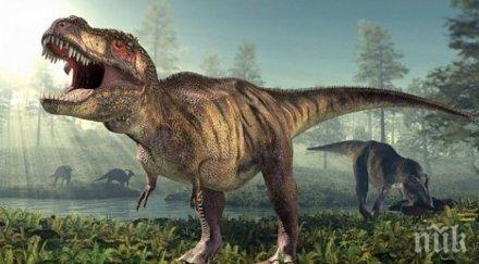 археолози натъкнаха следи динозаври 120 милиона години китай