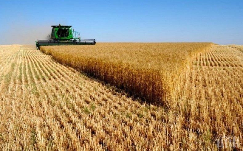 РАЗПРОДАЖБА! Русия вади за износ 500 хиляди тона зърно