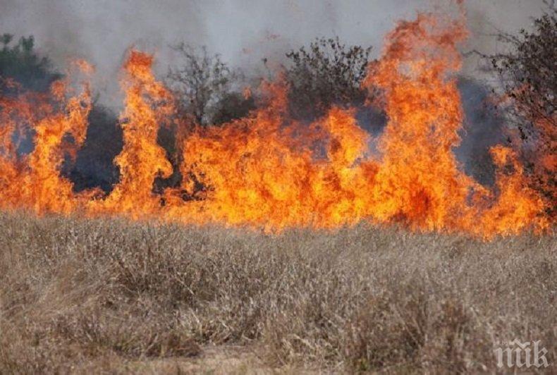 ОПУСТОШЕНИЕ! 750 декара посеви изгоряха в Пловдивско