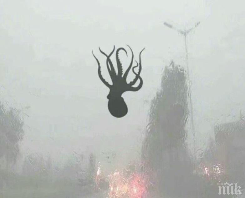 ШАШ! Морски дарове заваляха от небето на Китай (СНИМКИ)