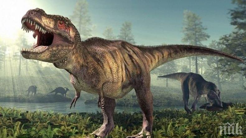 Археолози се натъкнаха на следи от динозаври на 120 милиона години в Китай
