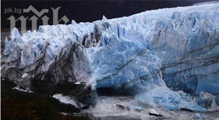 учени съживиха замръзнали четири века растения