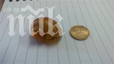 изненада дъжд охлюви сахара село мрамор