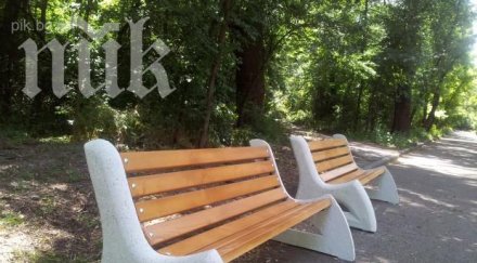 пейки красят парка лаута пловдив