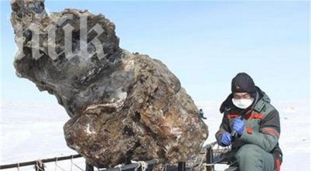 шурна кръв замръзнал мамут хиляди години