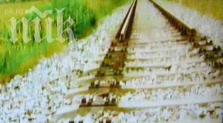 рекордна кражба един километър релси софия