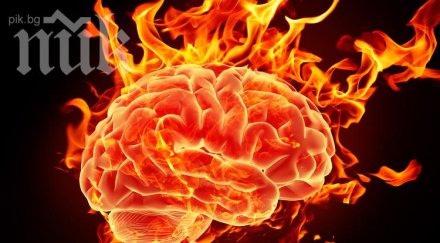 учени европейците оглупяват