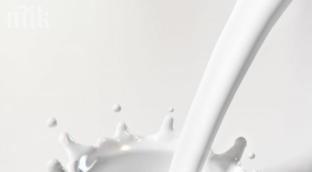 тир мляко обърна кресна