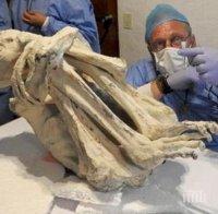 НАШЕСТВИЕ! Откриха мумия с три пръста в Перу! Пришълците са тук?! 