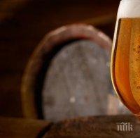 Шведски археолози откриха бира на 15 века