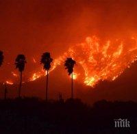 Евакуация и унищожени сгради след пожари в Калифорния (ВИДЕО)