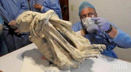 нашествие откриха мумия три пръста перу пришълците