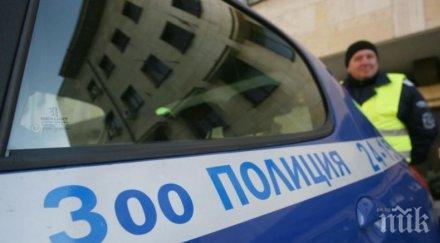 зоополицията пазарджик отчете трима мъчители животни отишли съд