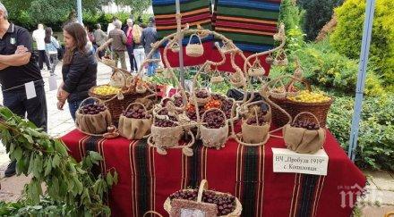 череша двулевка отгледаха кюстендилско