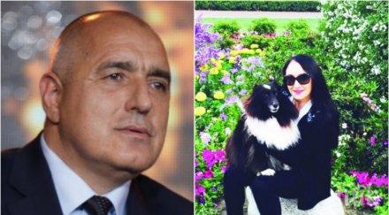 пик ретро жената бойко гледа домати ориндж каунти снимки