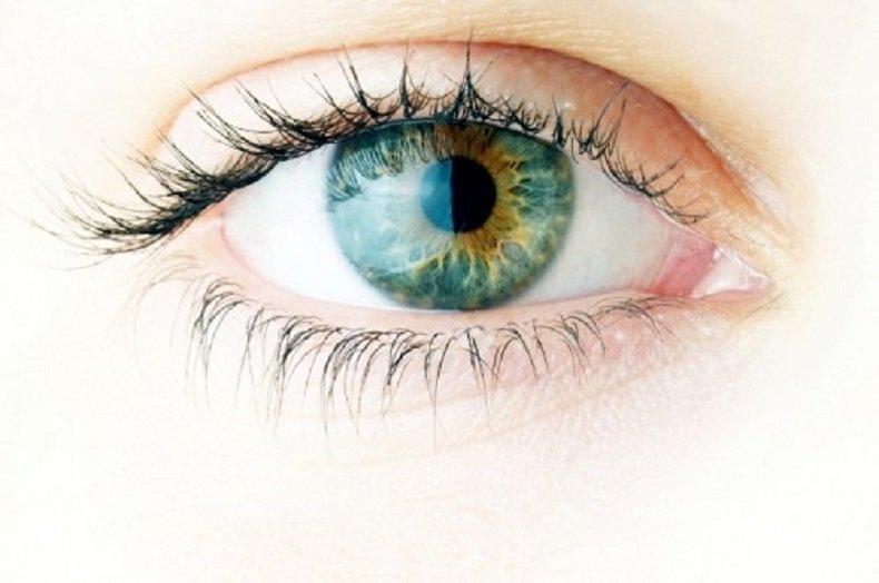 Шест хранителни вещества за здрави очи