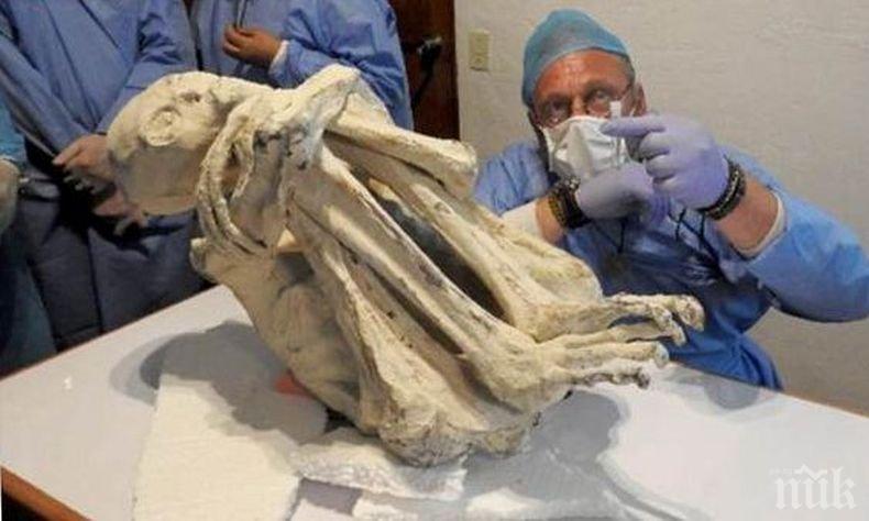 НАШЕСТВИЕ! Откриха мумия с три пръста в Перу! Пришълците са тук?! 