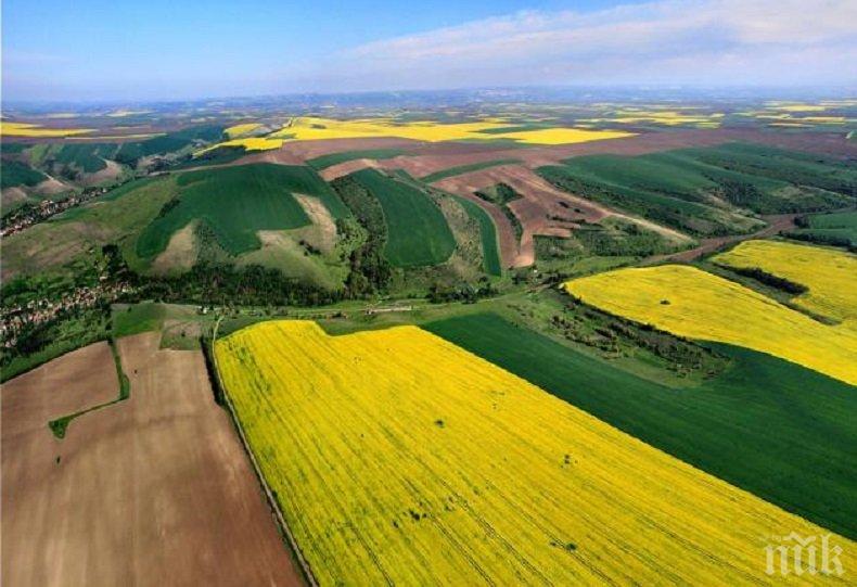 КРУПНО! Десет собственици в България имат по над 100 000 декара