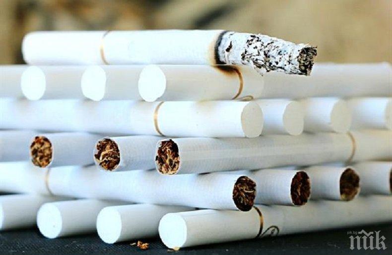 Полицаи иззеха над 60 хиляди къса контрабандни цигари в Перник