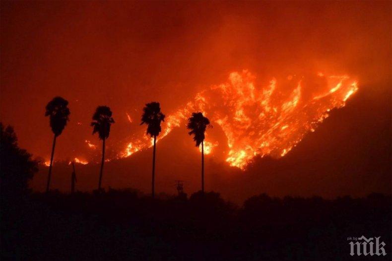 Евакуация и унищожени сгради след пожари в Калифорния (ВИДЕО)