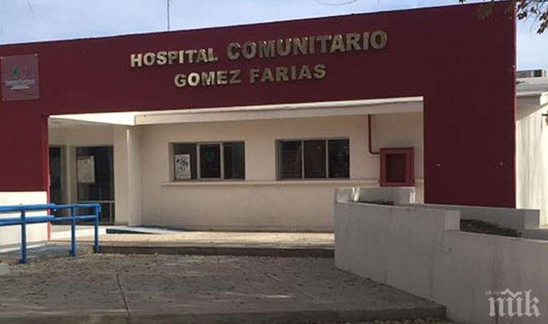 Шестима загинали при катастрофа с товарни автомобили в Мексико