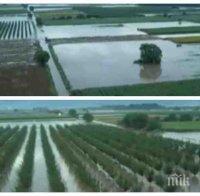 Фермери в потрес заради потопа! Посеви за стотици хиляди са под вода