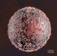 Учени откриха метод на лечение, който забавя развитието на рак на мозъка