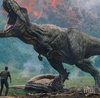 Рухналото кралство на 