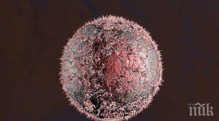 учени откриха метод лечение забавя развитието рак мозъка