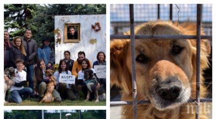 искаш лаещ любимец бездомни кутрета приюта горни богров чакат своите осиновители парка заимов снимки