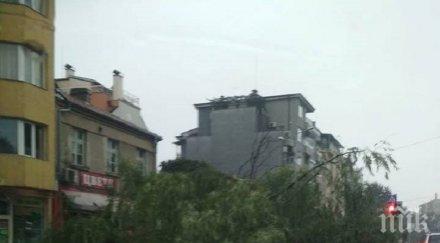 страховито огромно дърво стовари движещи коли пловдив снимки